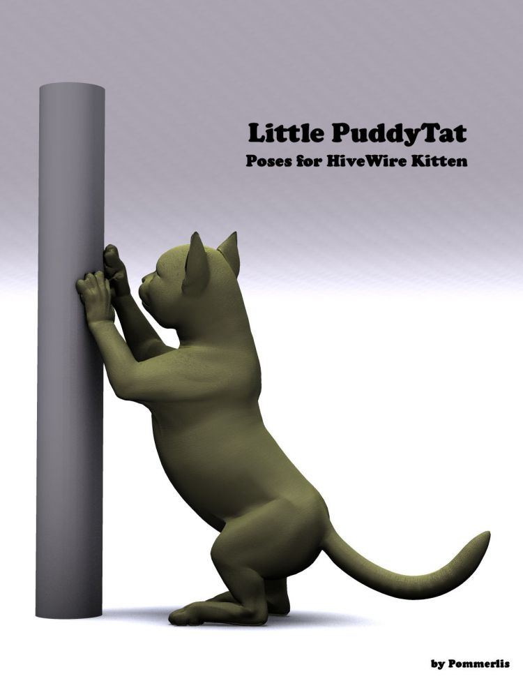 11564-little-puddy-tat-poses-for-the-hivewire-kitten-main.jpg