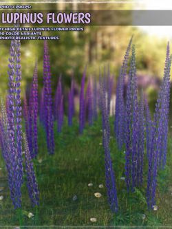 111558 道具 植物 Photo Plants: Lupinus Flowers
