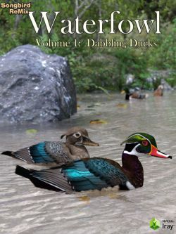 浅水鸭 SBRM Waterfowl Vol 1 - Dabbling Ducks