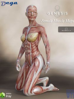 49067 人物 肌肉 Muscle Maps for Genesis 3 and 8 Female