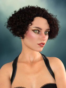 93606 头发 Rita Hair for Genesis 8 Female and Genesis 9