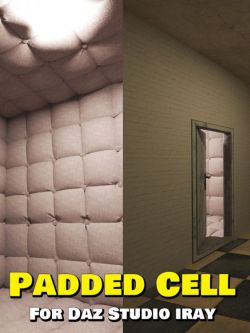 149432 场景 软垫房间 Padded Cell for DS Iray